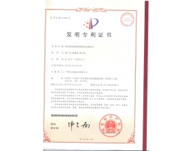 帶有流體隔離裝置的差壓液位計(jì)